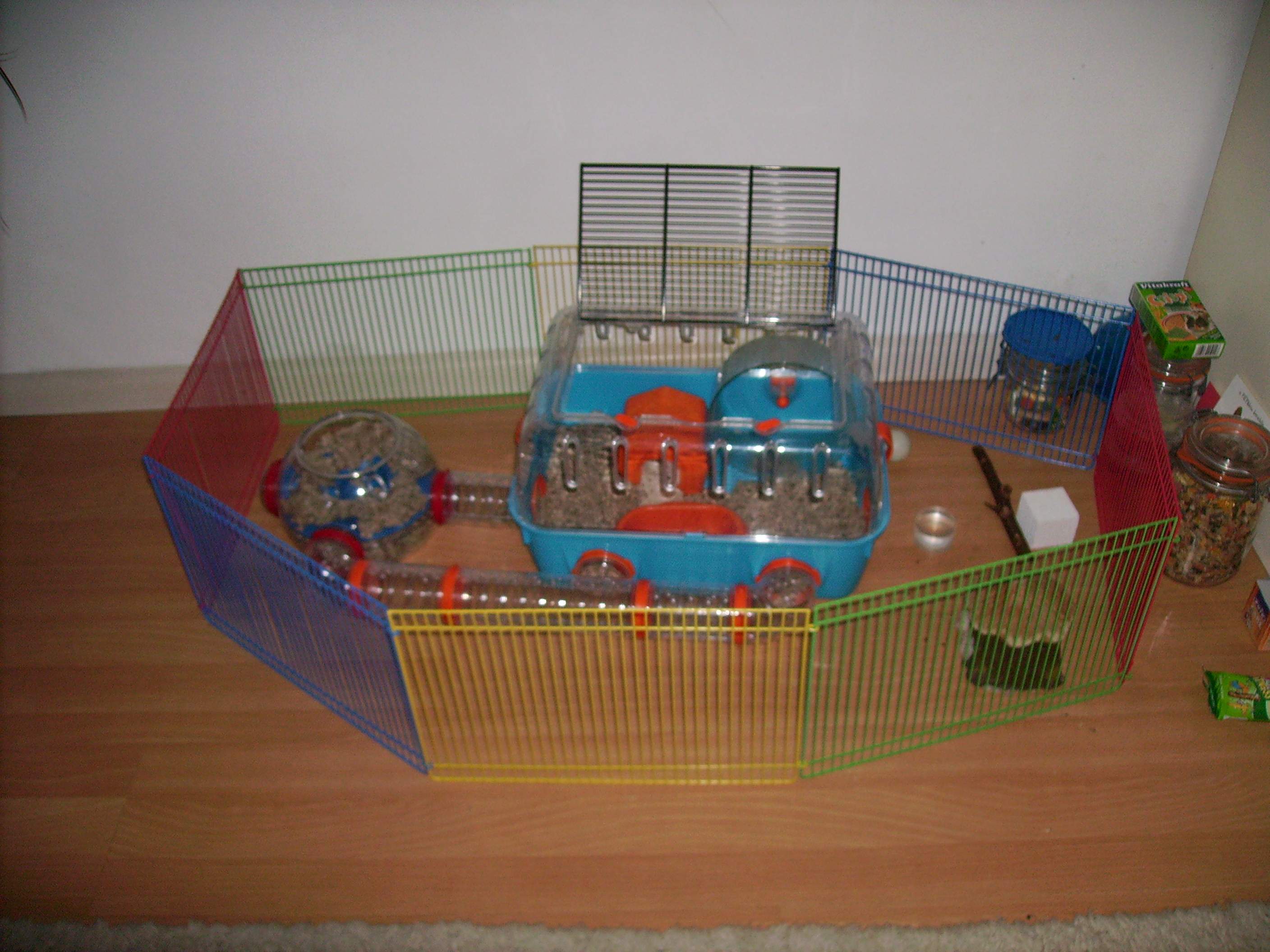 Jerry's huis en tuintje, met zijn eten ernaast